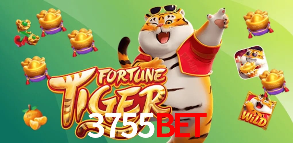 Experiência VIP 3755bet